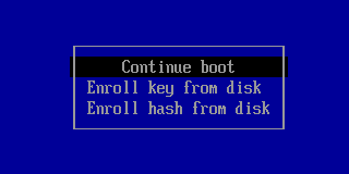 MokManager menu: Continue boot, Enroll key from disk, Enroll hash from disk